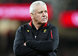 Warren Gatland at Wales v South Africa match during the 2024 Autumn Internationals